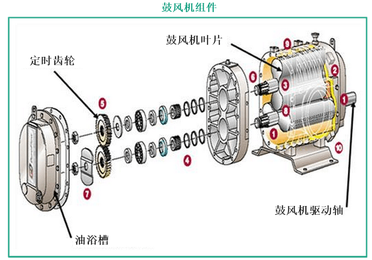 鼓風(fēng)機(jī)結(jié)構(gòu)圖